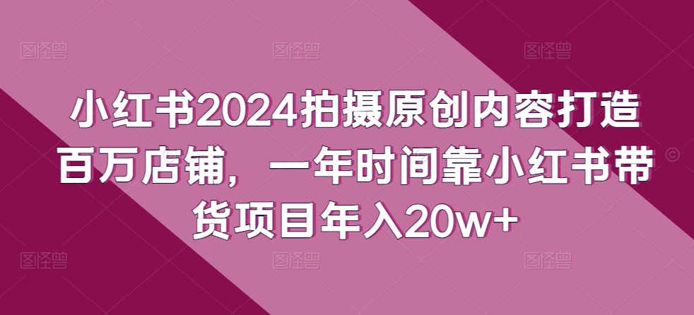 小红书2024拍摄原创内容打造百万店铺，一年时间靠小红书带货项目年入20w+-网创学习网