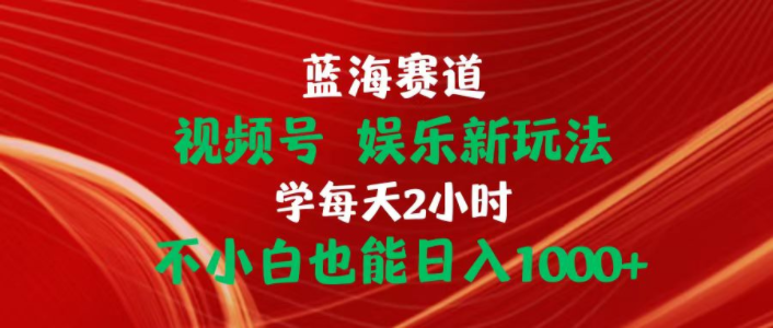 （10818期）蓝海赛道视频号 娱乐新玩法每天2小时小白也能日入1000+-网创学习网