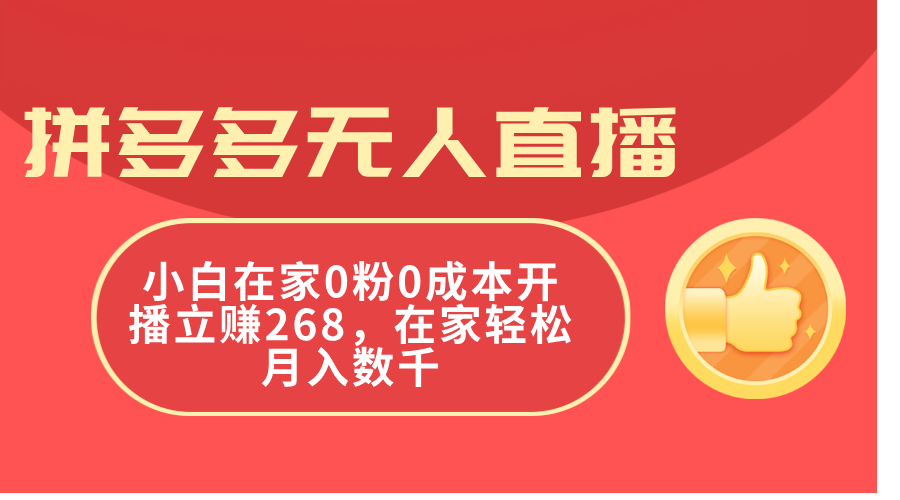 （11521期）拼多多无人直播，小白在家0粉0成本开播立赚268，在家轻松月入数千-网创学习网