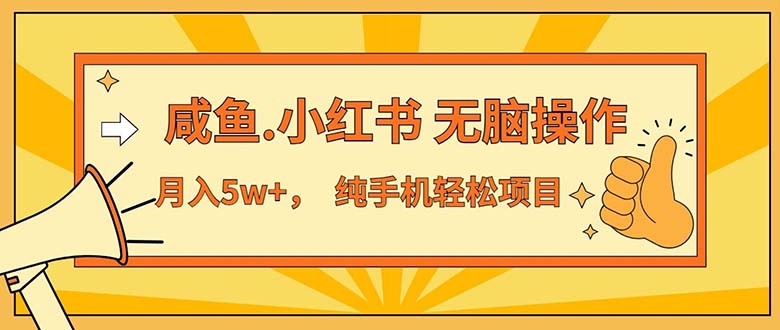 （11524期）2024最赚钱的项目，咸鱼，小红书无脑操作，每单利润500+，轻松月入5万+…-网创学习网