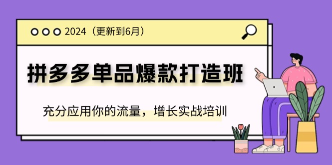 （11556期）2024拼多多-单品爆款打造班(更新6月)，充分应用你的流量，增长实战培训-网创学习网