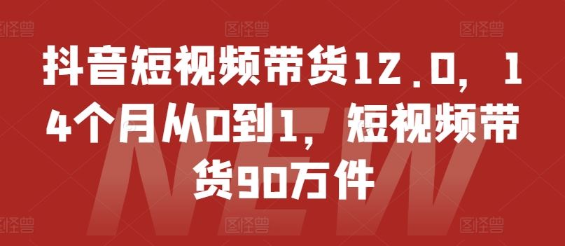 抖音短视频带货12.0，14个月从0到1，短视频带货90万件-网创学习网