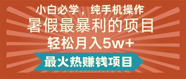 （11583期）小白必学，纯手机操作，暑假最暴利的项目轻松月入5w+最火热赚钱项目-网创学习网