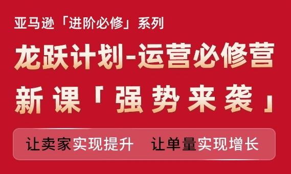 亚马逊进阶必修系列，龙跃计划-运营必修营新课，让卖家实现提升 让单量实现增长-网创学习网