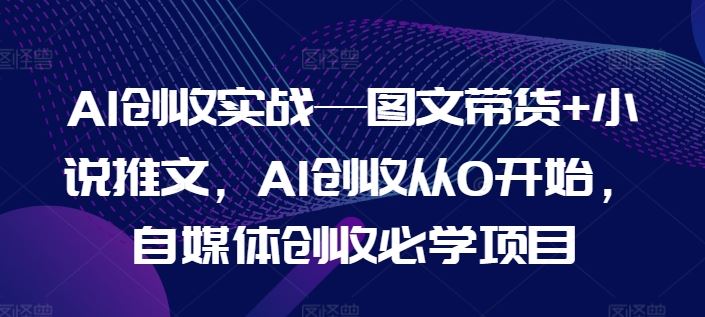 AI创收实战—图文带货+小说推文，AI创收从0开始，自媒体创收必学项目-网创学习网