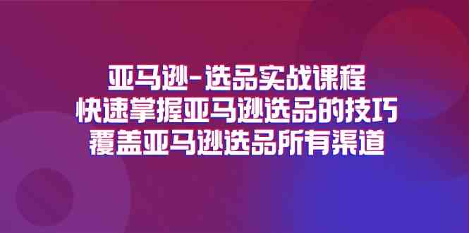 亚马逊选品实战课程，快速掌握亚马逊选品的技巧，覆盖亚马逊选品所有渠道-网创学习网