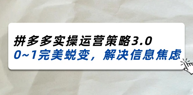 （11658期）2024_2025拼多多实操运营策略3.0，0~1完美蜕变，解决信息焦虑（38节）-网创学习网