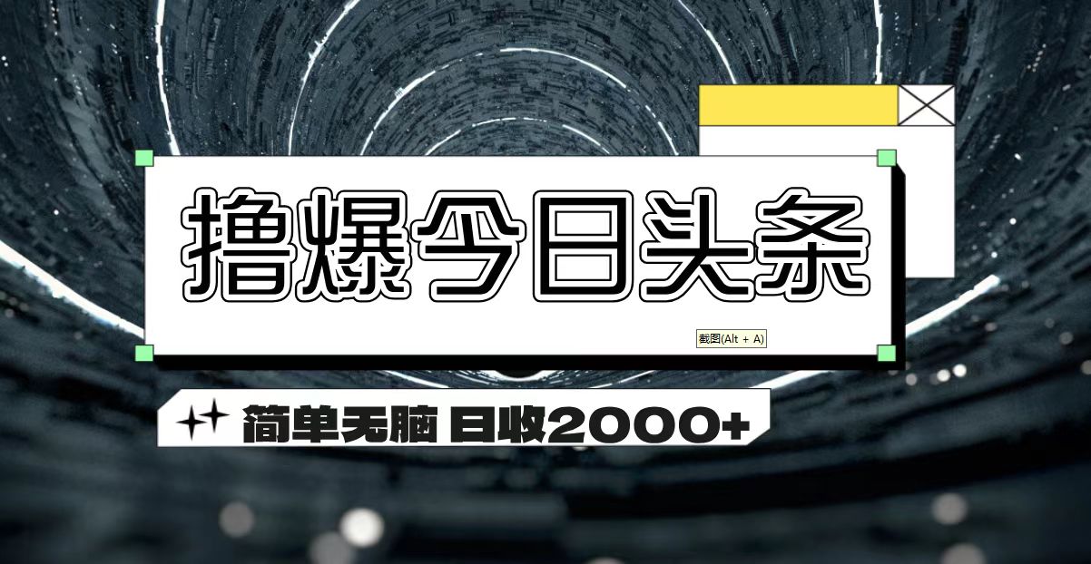 （11665期）撸爆今日头条 简单无脑操作 日收2000+-网创学习网