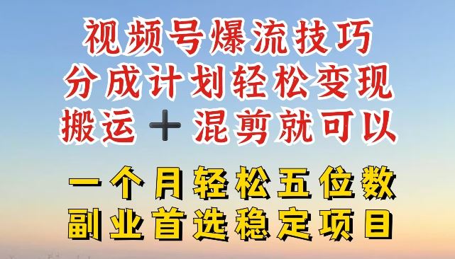 视频号爆流技巧，分成计划轻松变现，搬运 +混剪就可以，一个月轻松五位数稳定项目【揭秘】-网创学习网