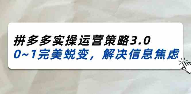 2024-2025拼多多实操运营策略3.0，0~1完美蜕变，解决信息焦虑（38节）-网创学习网