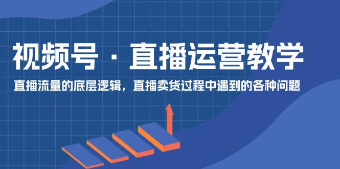 （11687期）视频号 直播运营教学：直播流量的底层逻辑，直播卖货过程中遇到的各种问题-网创学习网