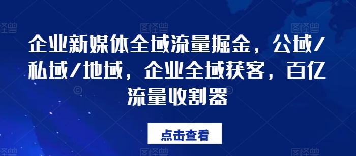 企业新媒体全域流量掘金，公域/私域/地域，企业全域获客，百亿流量收割器-网创学习网