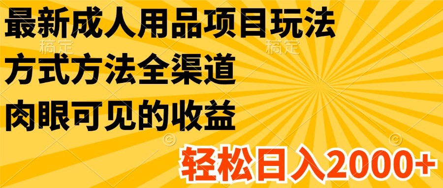 最新成人用品项目玩法，方式方法全渠道，肉眼可见的收益，轻松日入2000+-网创学习网