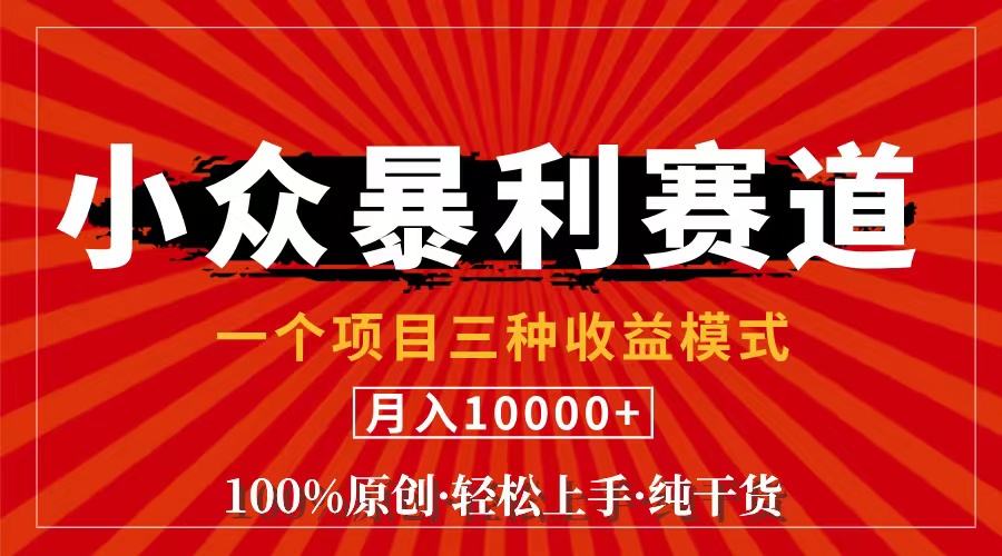 （11695期）视频号【中老年粉深信不疑】小众赛道 100%原创 手把手教学 新号3天收益…-网创学习网