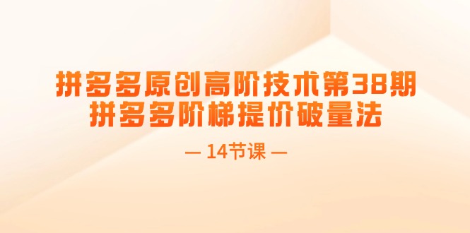 （11704期）拼多多原创高阶技术第38期，拼多多阶梯提价破量法（14节课）-网创学习网