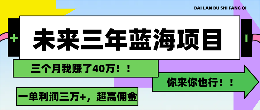 （11716期）未来三年，蓝海赛道，月入3万+-网创学习网