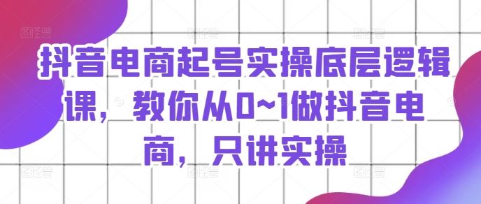 抖音电商起号实操底层逻辑课，教你从0~1做抖音电商，只讲实操-网创学习网