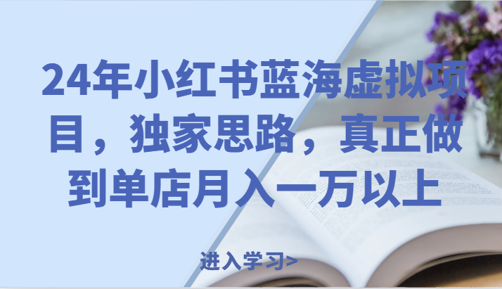 24年小红书蓝海虚拟项目，独家思路，真正做到单店月入一万以上。-网创学习网