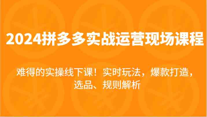 2024拼多多实战运营现场课，实时玩法，爆款打造，选品、规则解析，难得的实操线下课！-网创学习网