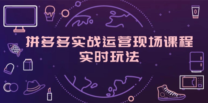 （11759期）拼多多实战运营现场课程，实时玩法，爆款打造，选品、规则解析-网创学习网