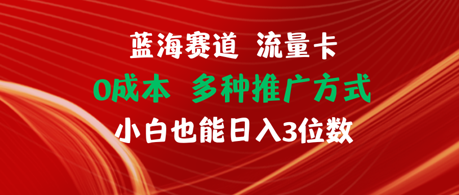 （11768期）蓝海赛道 流量卡 0成本 小白也能日入三位数-网创学习网