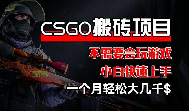 CSGO 装备搬砖项目，操作简单，不需要会玩游戏，小白也能快速上手，一个月轻松大几千【揭秘】-网创学习网