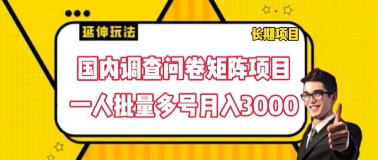 国内调查问卷矩阵项目，一人批量多号月入3000【揭秘】-网创学习网