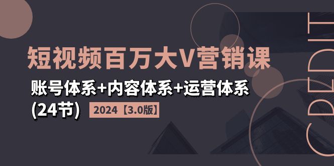 （11795期）2024短视频·百万大V营销课【3.0版】账号体系+内容体系+运营体系(24节)-网创学习网