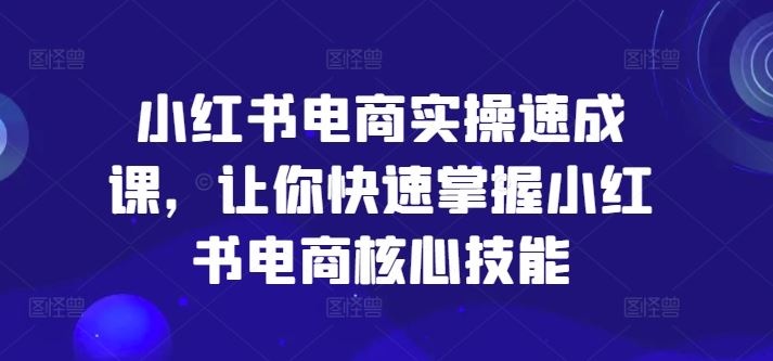 小红书电商实操速成课，让你快速掌握小红书电商核心技能-网创学习网