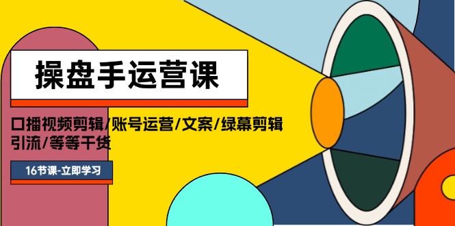 （11803期）操盘手运营课程：口播视频剪辑/账号运营/文案/绿幕剪辑/引流/干货/16节-网创学习网