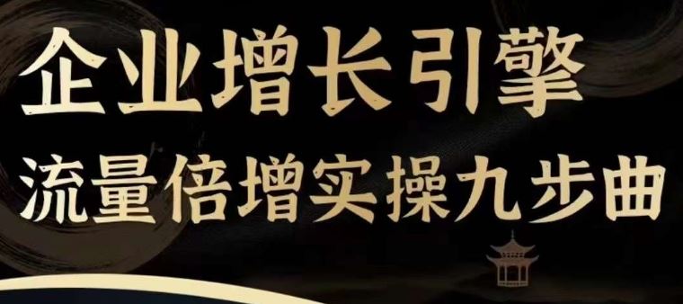 企业增长引擎流量倍增实操九步曲，一套课程帮你找到快速、简单、有效、可复制的获客+变现方式，-网创学习网