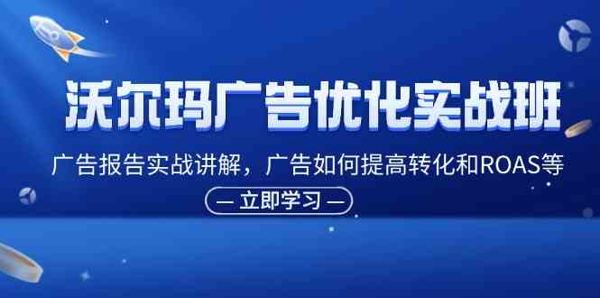 沃尔玛广告优化实战班，广告报告实战讲解，广告如何提高转化和ROAS等-网创学习网