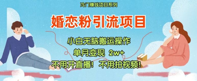 小红书婚恋粉引流，不用开直播，不用拍视频，不用做交付【揭秘】-网创学习网