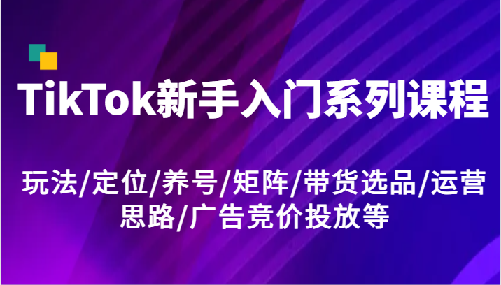 TikTok新手入门系列课程，玩法/定位/养号/矩阵/带货选品/运营思路/广告竞价投放等-网创学习网