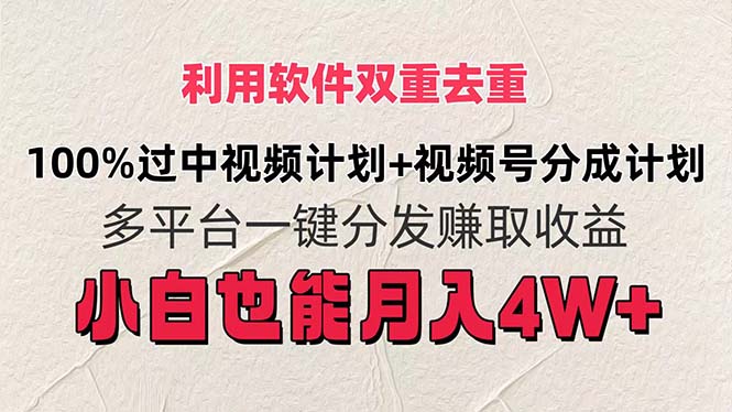 （11862期）利用软件双重去重，100%过中视频+视频号分成计划小白也可以月入4W+-网创学习网