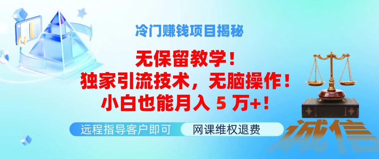 （11864期）冷门赚钱项目无保留教学！独家引流技术，无脑操作！小白也能月入5万+！-网创学习网