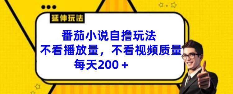 番茄小说自撸玩法，不看播放量，不看视频质量，每天200+【揭秘】-网创学习网