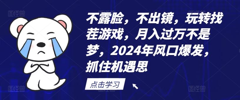 不露脸，不出镜，玩转找茬游戏，月入过万不是梦，2024年风口爆发，抓住机遇【揭秘】-网创学习网