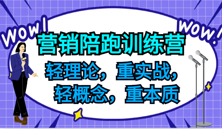 营销陪跑训练营，轻理论，重实战，轻概念，重本质，适合中小企业和初创企业的老板-网创学习网