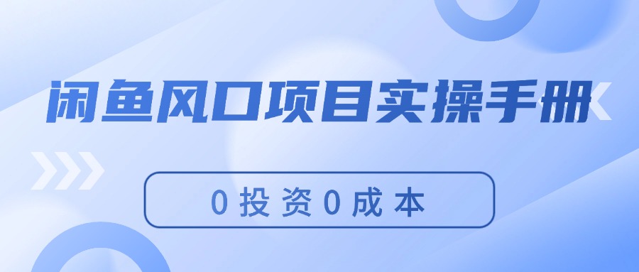 （11923期）闲鱼风口项目实操手册，0投资0成本，让你做到，月入过万，新手可做-网创学习网