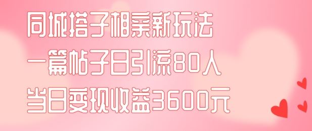 同城搭子相亲新玩法一篇帖子引流80人当日变现3600元(项目教程+实操教程)【揭秘】-网创学习网