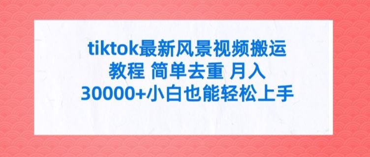 tiktok最新风景视频搬运教程 简单去重 月入3W+小白也能轻松上手【揭秘】-网创学习网