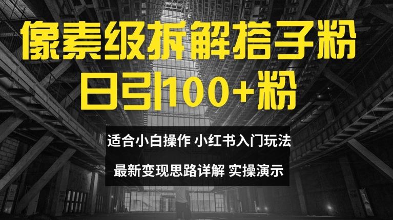 像素级拆解搭子粉，日引100+，小白看完可上手，最新变现思路详解【揭秘】-网创学习网