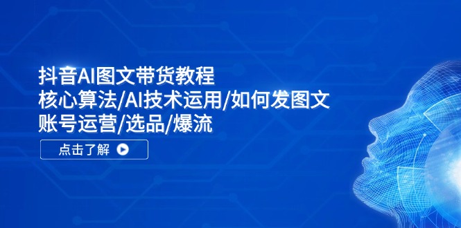 （11958期）抖音AI图文带货教程：核心算法/AI技术运用/如何发图文/账号运营/选品/爆流-网创学习网