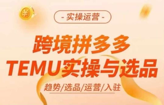 跨境拼多多TEMU实操与选品，多多temu跨境选品运营实操-网创学习网