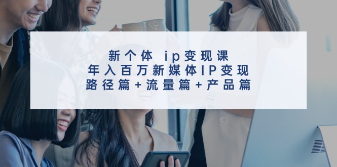 （11971期）新个体 ip变现课，年入百万新媒体IP变现，路径篇+流量篇+产品篇-网创学习网