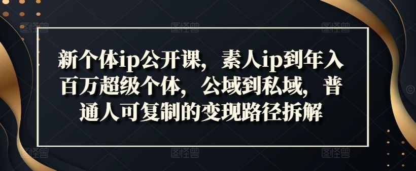 新个体ip公开课，素人ip到年入百万超级个体，公域到私域，普通人可复制的变现路径拆解-网创学习网