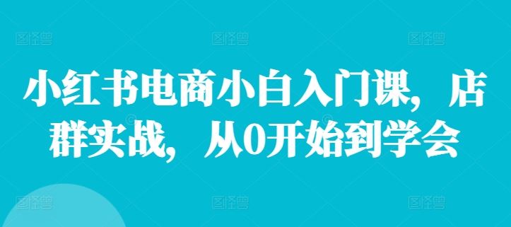 小红书电商小白入门课，店群实战，从0开始到学会-网创学习网