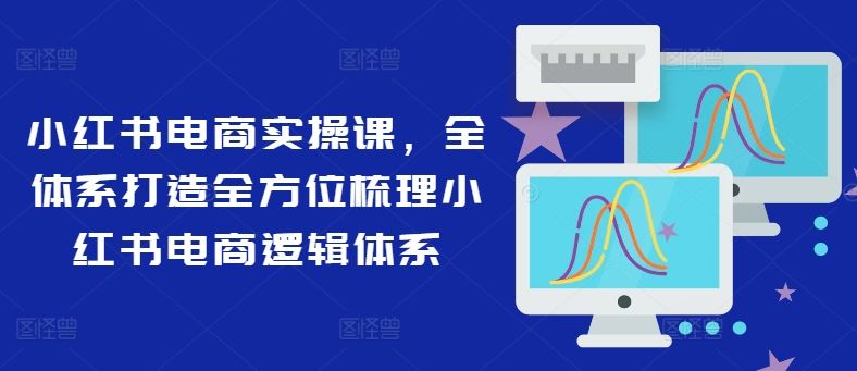 小红书电商实操课，全体系打造全方位梳理小红书电商逻辑体系-网创学习网