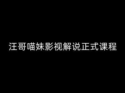 汪哥影视解说正式课程：剪映/PR教学/视解说剪辑5大黄金法则/全流程剪辑7把利器等等-网创学习网